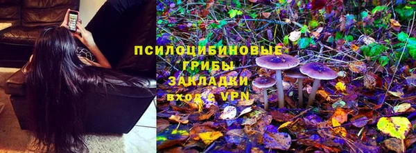 мет Ладушкин