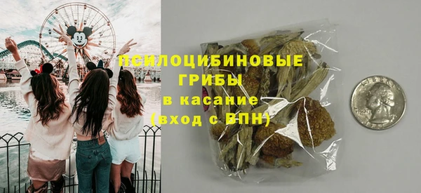 сатива Аксай