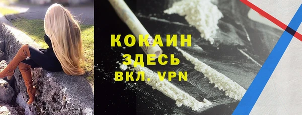 мет Ладушкин