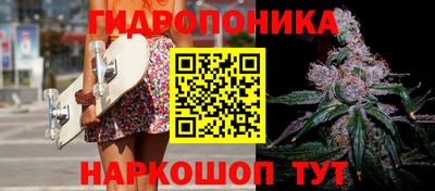спиды Дубна
