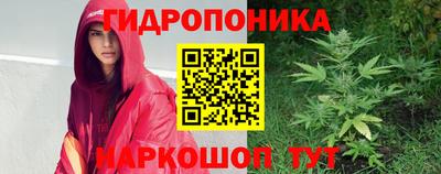 прущие крисы Донской