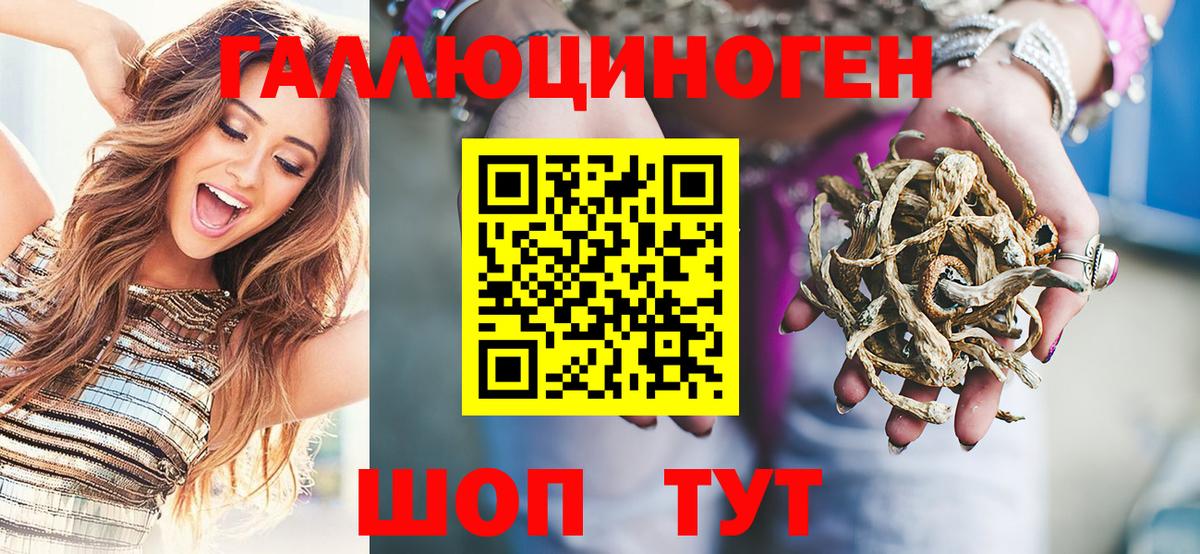 Псилоцибиновые грибы Psilocybine cubensis Кулебаки