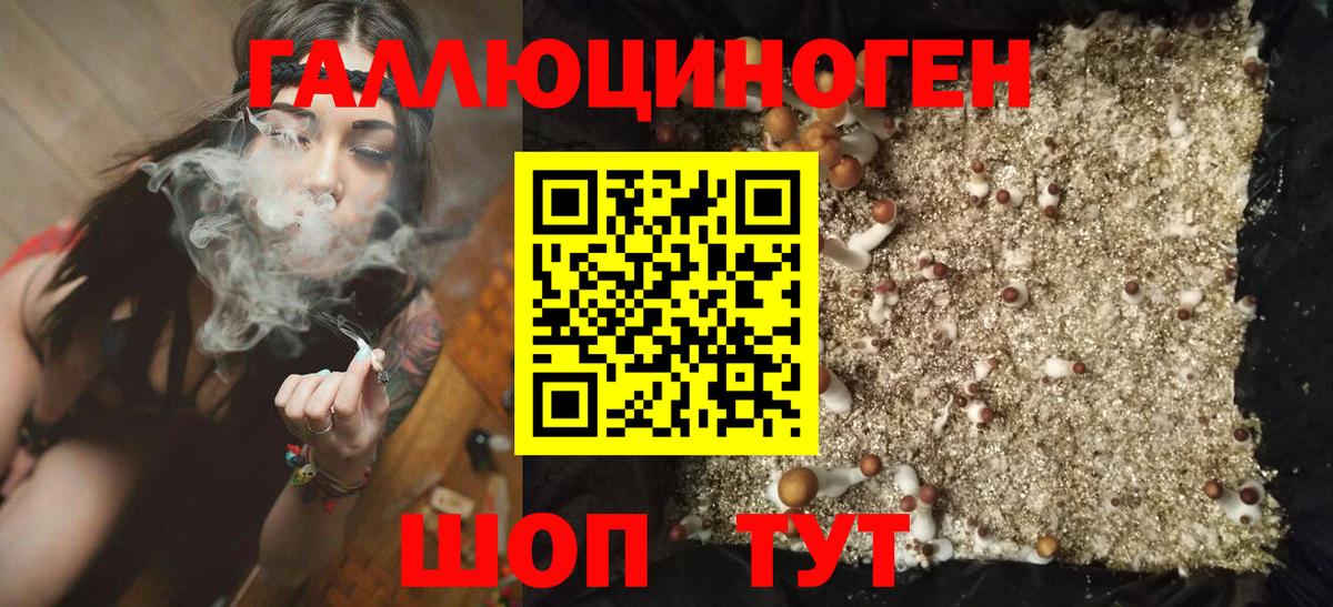 продажа наркотиков  Вход с VPN  Кулебаки  Галлюциногенные грибы Magic Shrooms 