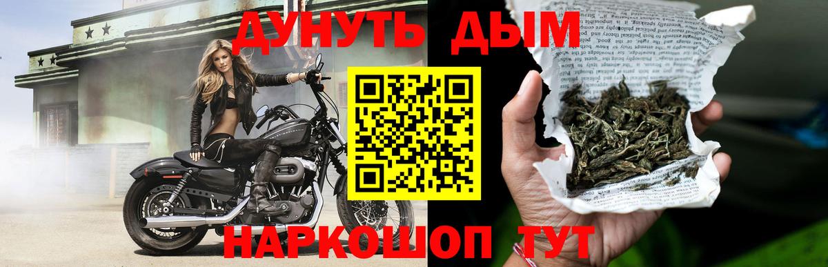 Бошки Шишки план Кулебаки